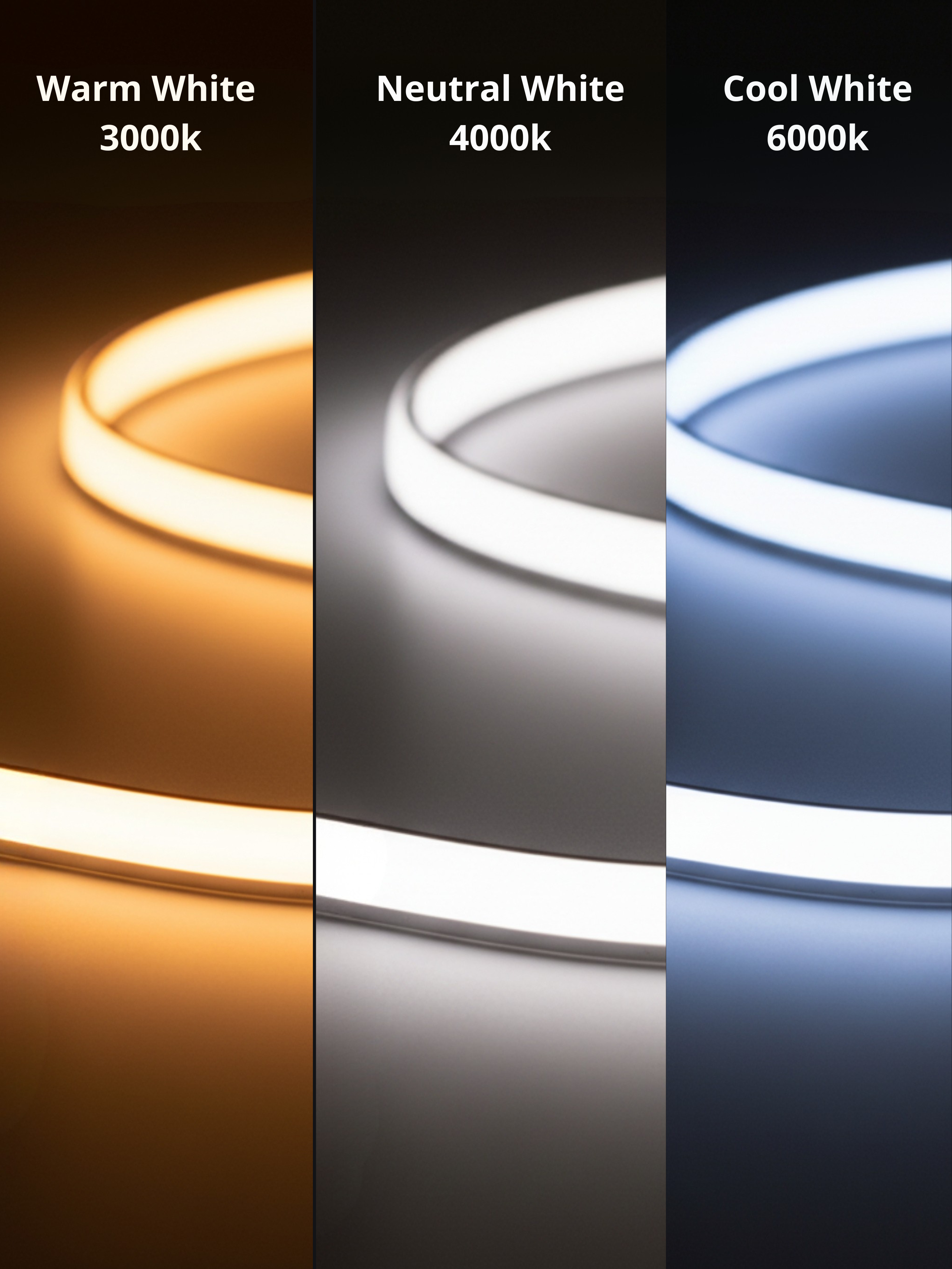 LED Mirror Capricornus - light temperature palette: warm, neutral and cold LED for makeup and skincare